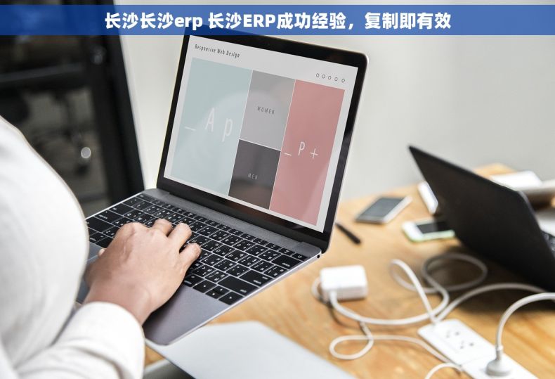长沙长沙erp 长沙ERP成功经验,复制即有效 长沙长沙erp 长沙ERP成功经验,复制即有效