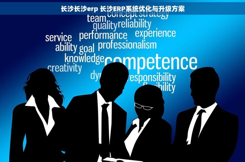 长沙长沙erp 长沙ERP系统优化与升级方案