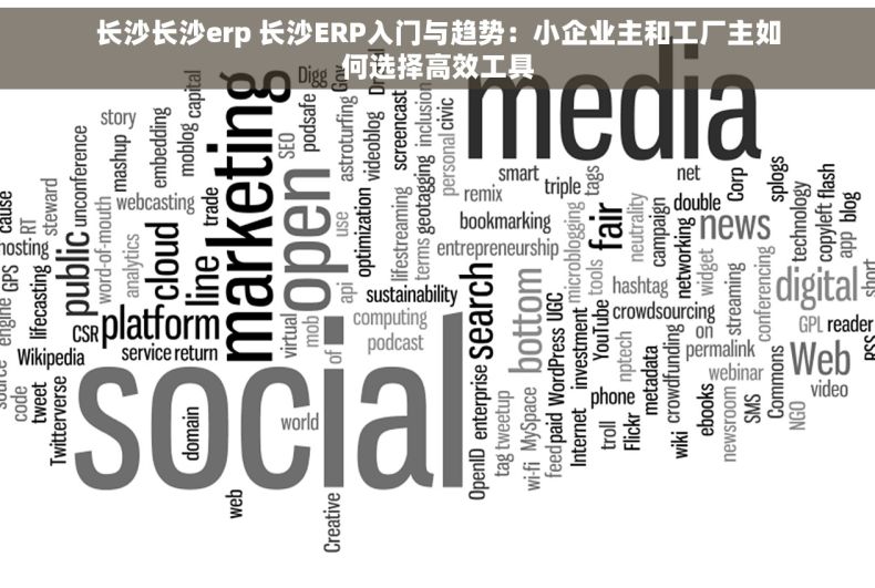 长沙长沙erp 长沙ERP入门与趋势:小企业主和工厂主如何选择高效工具 长沙长沙erp 长沙ERP入门与趋势:小企业主和工厂主如何选择高效工具