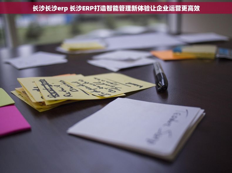 长沙长沙erp 长沙ERP打造智能管理新体验让企业运营更高效