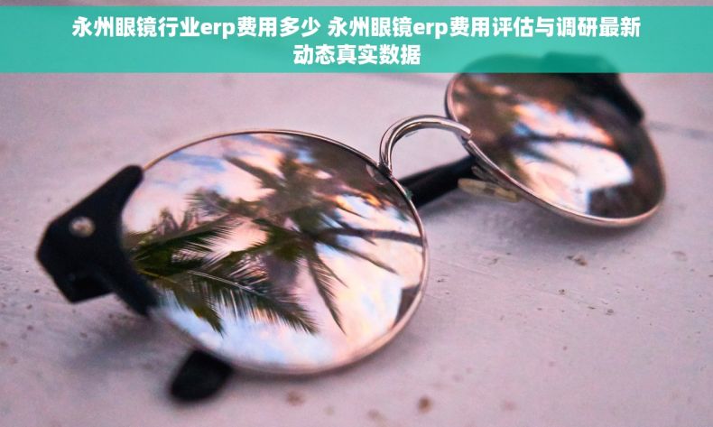 永州眼镜行业erp费用多少 永州眼镜erp费用评估与调研最新动态真实数据 永州眼镜行业erp费用多少 永州眼镜erp费用评估与调研最新动态真实数据