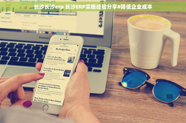 长沙长沙erp 长沙ERP实施经验分享#降低企业成本 长沙长沙erp 长沙ERP实施经验分享#降低企业成本