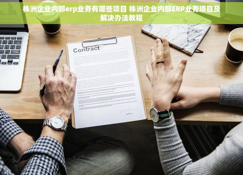 株洲企业内部erp业务有哪些项目 株洲企业内部ERP业务项目及解决办法教程