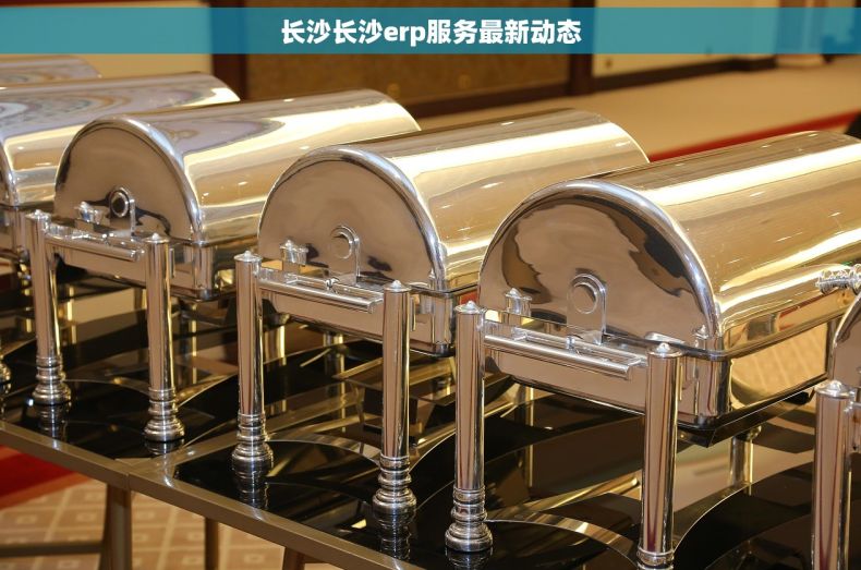 长沙长沙erp服务最新动态 长沙长沙erp服务最新动态