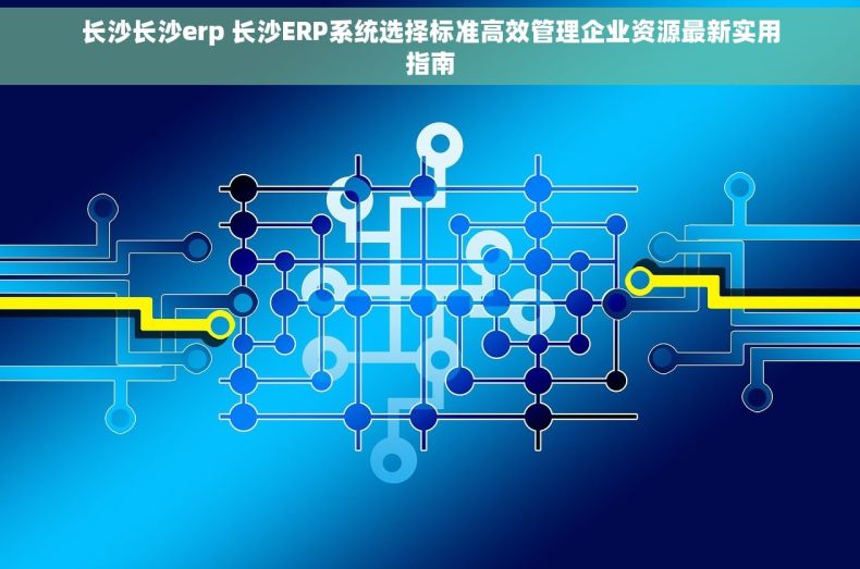 长沙长沙erp 长沙ERP系统选择标准高效管理企业资源最新实用指南 长沙长沙erp 长沙ERP系统选择标准高效管理企业资源最新实用指南