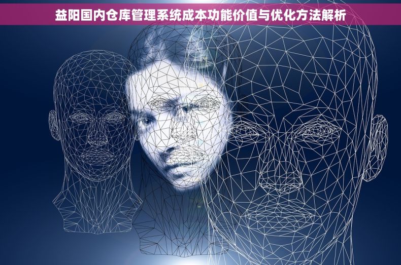 益阳国内仓库管理系统成本功能价值与优化方法解析 益阳国内仓库管理系统成本功能价值与优化方法解析