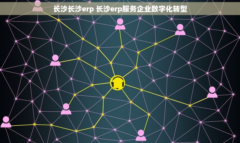 长沙长沙erp 长沙erp服务企业数字化转型 长沙长沙erp 长沙erp服务企业数字化转型