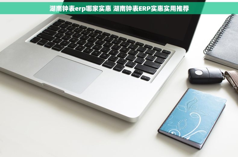 湖南钟表erp哪家实惠 湖南钟表ERP实惠实用推荐