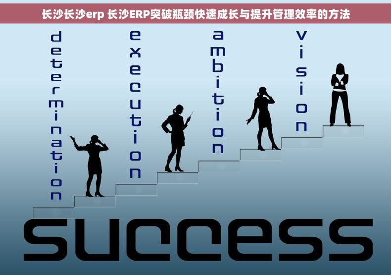 长沙长沙erp 长沙ERP突破瓶颈快速成长与提升管理效率的方法