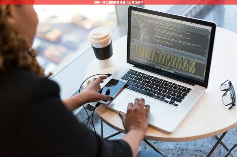 湖南一体化进销存软件是什么 如何操作 湖南一体化进销存软件是什么 如何操作