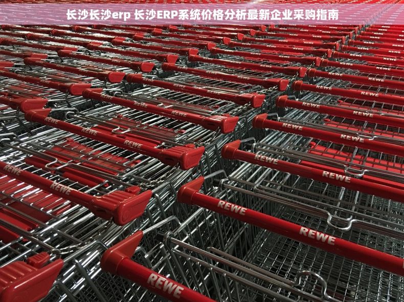 长沙长沙erp 长沙ERP系统价格分析最新企业采购指南 长沙长沙erp 长沙ERP系统价格分析最新企业采购指南