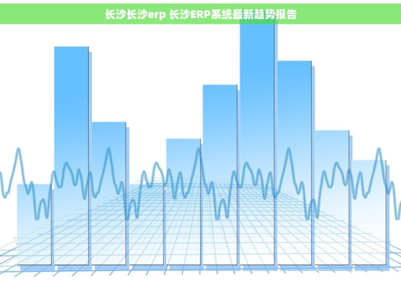 长沙长沙erp 长沙ERP系统最新趋势报告