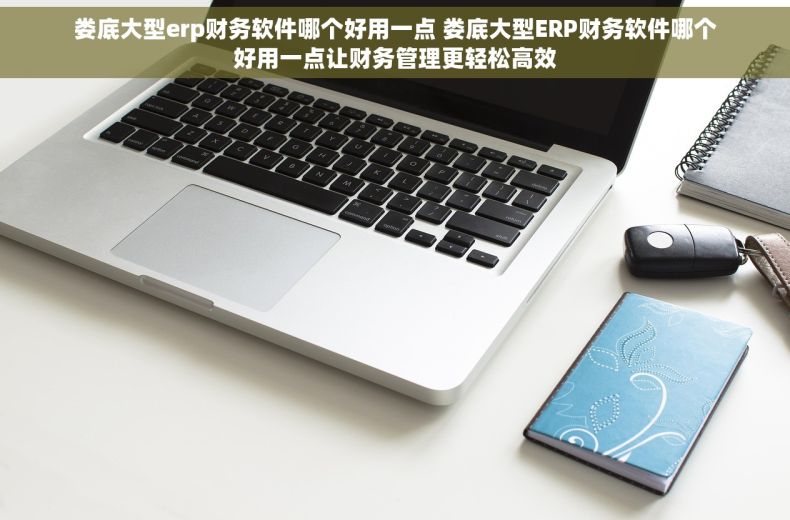 娄底大型erp财务软件哪个好用一点 娄底大型ERP财务软件哪个好用一点让财务管理更轻松高效 娄底大型erp财务软件哪个好用一点 娄底大型ERP财务软件哪个好用一点让财务管理更轻松高效