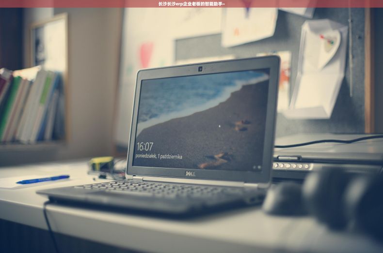 长沙长沙erp企业老板的智能助手~ 长沙长沙erp企业老板的智能助手~