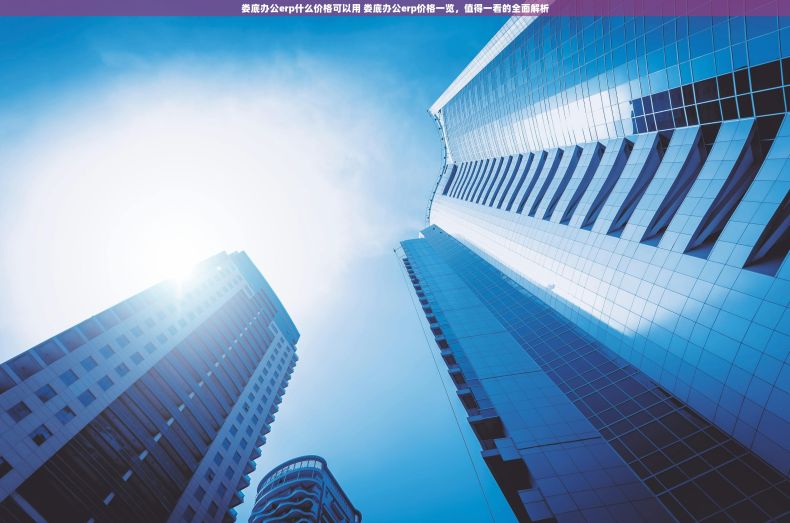 娄底办公erp什么价格可以用 娄底办公erp价格一览,值得一看的全面解析 娄底办公erp什么价格可以用 娄底办公erp价格一览,值得一看的全面解析