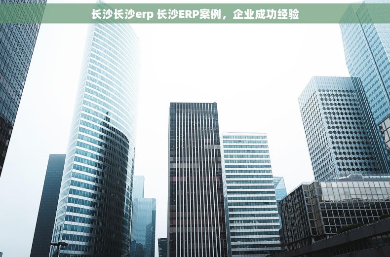 长沙长沙erp 长沙ERP案例,企业成功经验 长沙长沙erp 长沙ERP案例,企业成功经验
