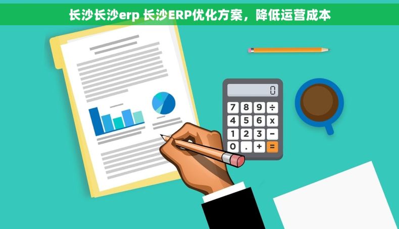 长沙长沙erp 长沙ERP优化方案,降低运营成本 长沙长沙erp 长沙ERP优化方案,降低运营成本