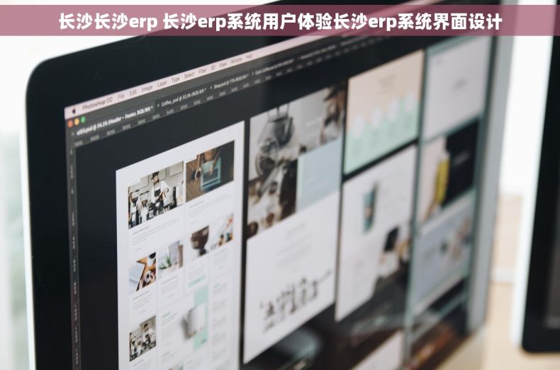 长沙长沙erp 长沙erp系统用户体验长沙erp系统界面设计 长沙长沙erp 长沙erp系统用户体验长沙erp系统界面设计