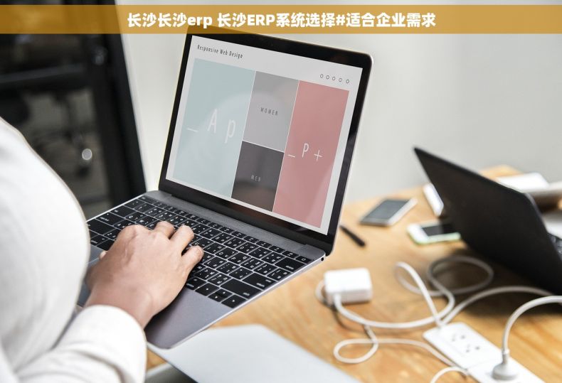 长沙长沙erp 长沙ERP系统选择#适合企业需求
