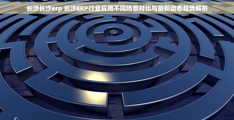 长沙长沙erp 长沙ERP行业应用不同场景对比与最新动态趋势解析 长沙长沙erp 长沙ERP行业应用不同场景对比与最新动态趋势解析