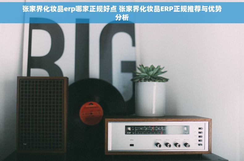 张家界化妆品erp哪家正规好点 张家界化妆品ERP正规推荐与优势分析 张家界化妆品erp哪家正规好点 张家界化妆品ERP正规推荐与优势分析
