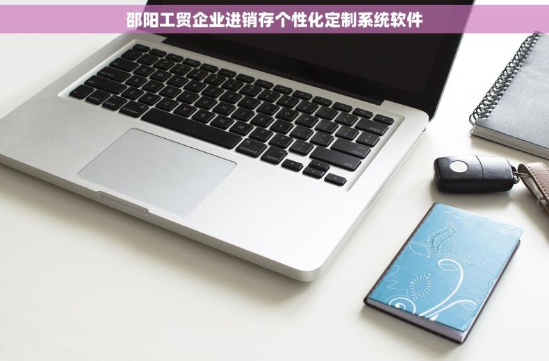 邵阳工贸企业进销存个性化定制系统软件 邵阳工贸企业进销存个性化定制系统软件