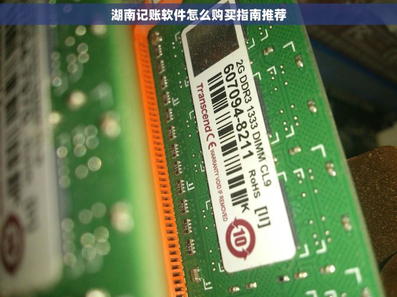 湖南记账软件怎么购买指南推荐 湖南记账软件怎么购买指南推荐