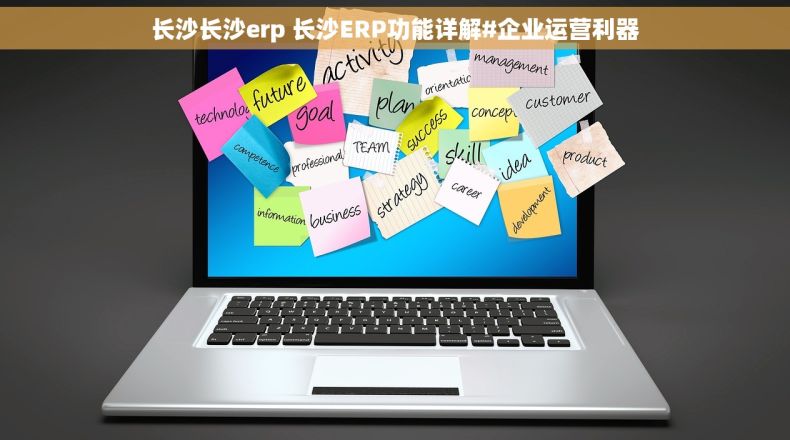 长沙长沙erp 长沙ERP功能详解#企业运营利器 长沙长沙erp 长沙ERP功能详解#企业运营利器