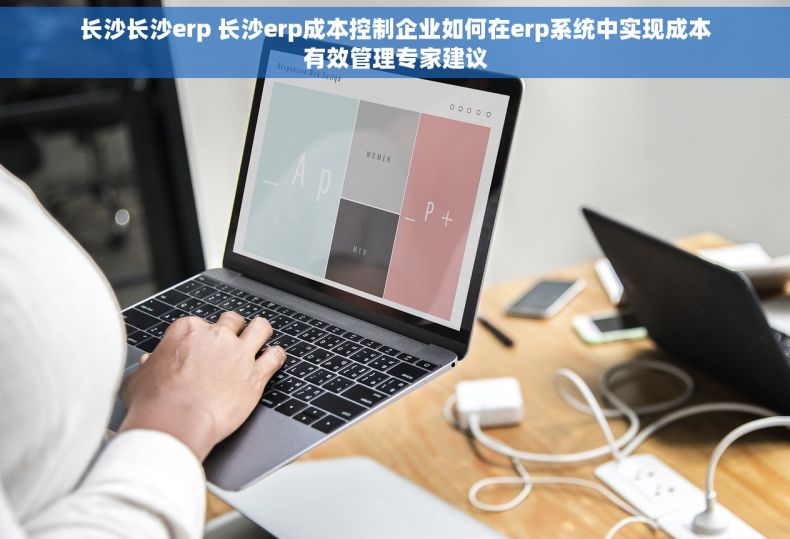 长沙长沙erp 长沙erp成本控制企业如何在erp系统中实现成本有效管理专家建议 长沙长沙erp 长沙erp成本控制企业如何在erp系统中实现成本有效管理专家建议