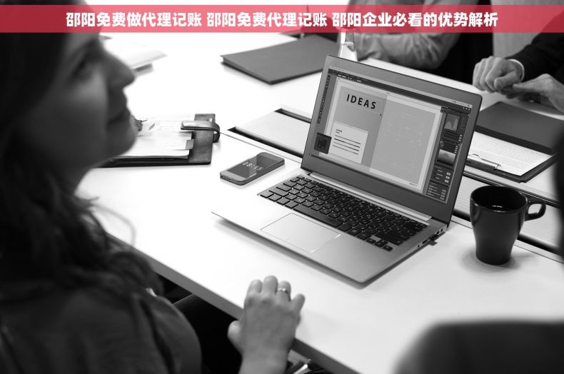 邵阳免费做代理记账 邵阳免费代理记账 邵阳企业必看的优势解析 邵阳免费做代理记账 邵阳免费代理记账 邵阳企业必看的优势解析