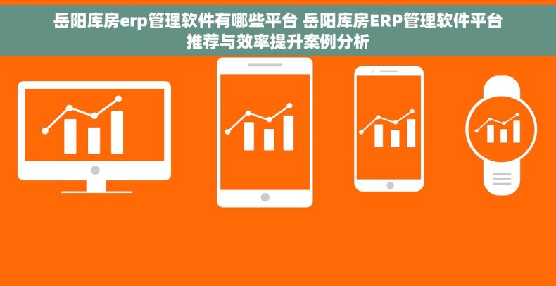 岳阳库房erp管理软件有哪些平台 岳阳库房ERP管理软件平台推荐与效率提升案例分析 岳阳库房erp管理软件有哪些平台 岳阳库房ERP管理软件平台推荐与效率提升案例分析