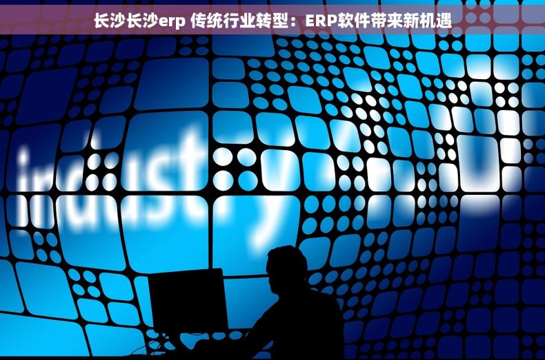 长沙长沙erp 传统行业转型:ERP软件带来新机遇 长沙长沙erp 传统行业转型:ERP软件带来新机遇