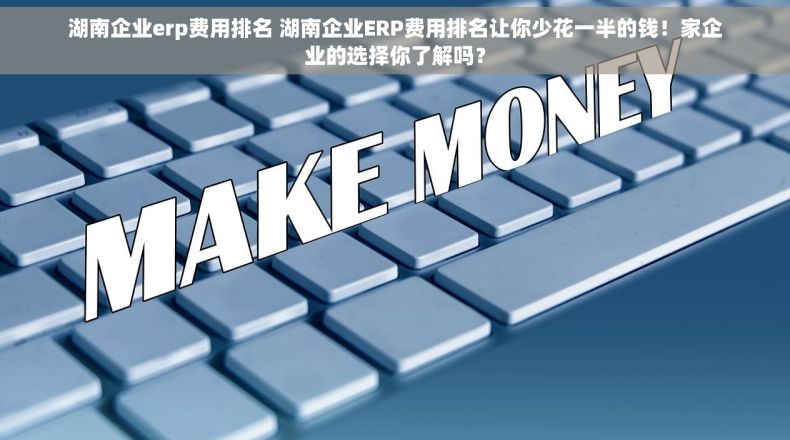 湖南企业erp费用排名 湖南企业ERP费用排名让你少花一半的钱!家企业的选择你了解吗? 湖南企业erp费用排名 湖南企业ERP费用排名让你少花一半的钱!家企业的选择你了解吗?