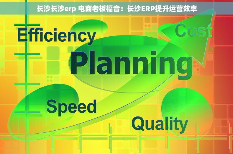 长沙长沙erp 电商老板福音:长沙ERP提升运营效率 长沙长沙erp 电商老板福音:长沙ERP提升运营效率