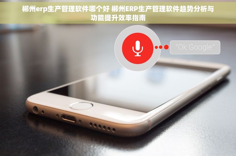 郴州erp生产管理软件哪个好 郴州ERP生产管理软件趋势分析与功能提升效率指南 郴州erp生产管理软件哪个好 郴州ERP生产管理软件趋势分析与功能提升效率指南
