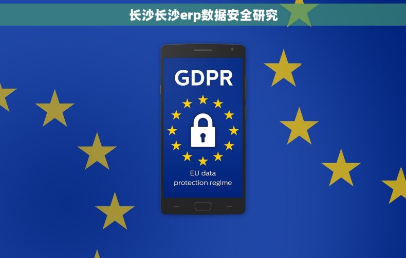 长沙长沙erp数据安全研究 长沙长沙erp数据安全研究