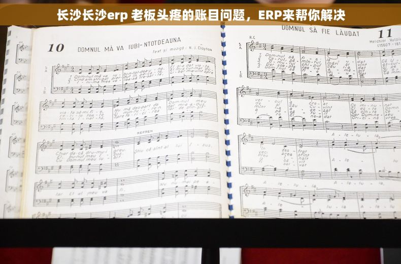 长沙长沙erp 老板头疼的账目问题,ERP来帮你解决 长沙长沙erp 老板头疼的账目问题,ERP来帮你解决