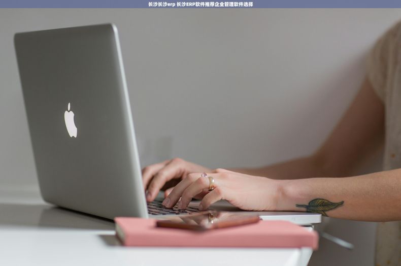 长沙长沙erp 长沙ERP软件推荐企业管理软件选择 长沙长沙erp 长沙ERP软件推荐企业管理软件选择