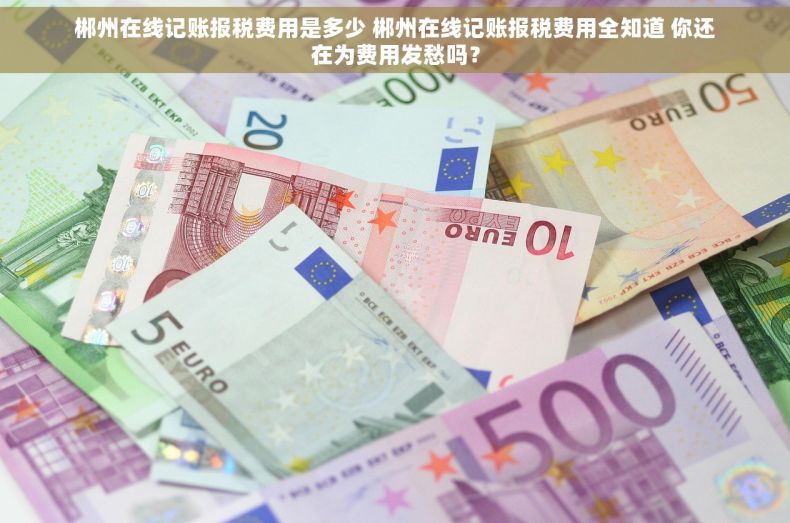 郴州在线记账报税费用是多少 郴州在线记账报税费用全知道 你还在为费用发愁吗？