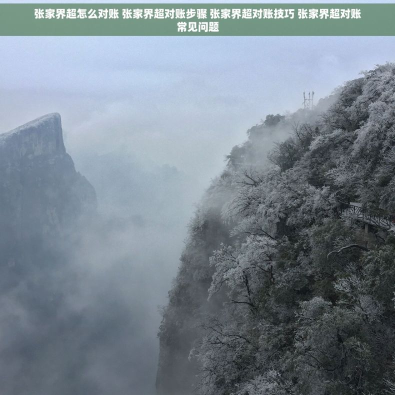 张家界超怎么对账 张家界超对账步骤 张家界超对账技巧 张家界超对账常见问题 张家界超怎么对账 张家界超对账步骤 张家界超对账技巧 张家界超对账常见问题