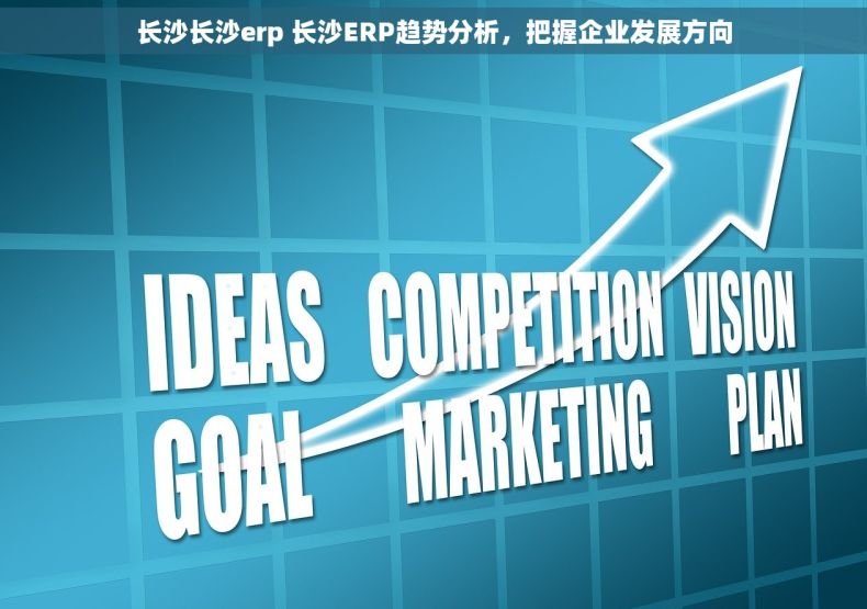 长沙长沙erp 长沙ERP趋势分析,把握企业发展方向 长沙长沙erp 长沙ERP趋势分析,把握企业发展方向
