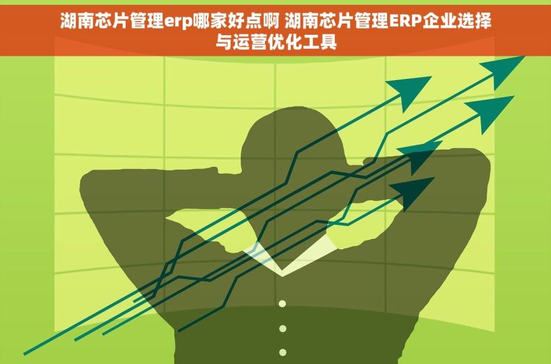 湖南芯片管理erp哪家好点啊 湖南芯片管理ERP企业选择与运营优化工具 湖南芯片管理erp哪家好点啊 湖南芯片管理ERP企业选择与运营优化工具