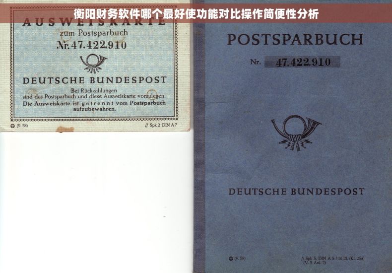 衡阳财务软件哪个最好使功能对比操作简便性分析