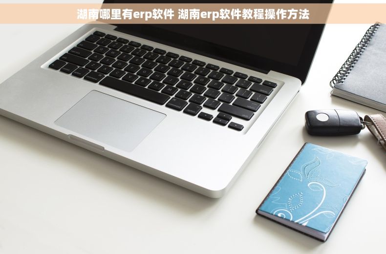 湖南哪里有erp软件 湖南erp软件教程操作方法 湖南哪里有erp软件 湖南erp软件教程操作方法