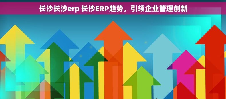 长沙长沙erp 长沙ERP趋势,引领企业管理创新 长沙长沙erp 长沙ERP趋势,引领企业管理创新