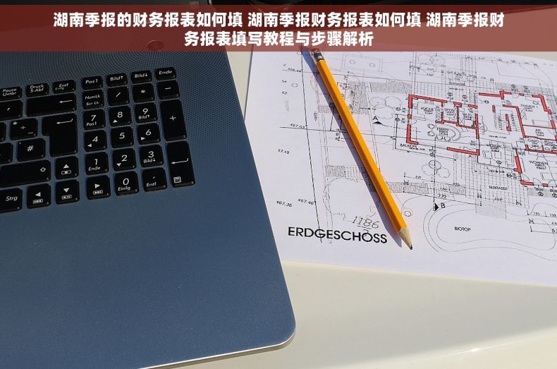 湖南季报的财务报表如何填 湖南季报财务报表如何填 湖南季报财务报表填写教程与步骤解析 湖南季报的财务报表如何填 湖南季报财务报表如何填 湖南季报财务报表填写教程与步骤解析