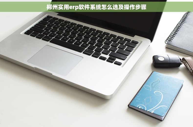 郴州实用erp软件系统怎么选及操作步骤 郴州实用erp软件系统怎么选及操作步骤