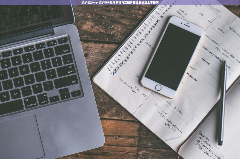 长沙长沙erp 长沙ERP操作教程与实施步骤企业快速上手指南 长沙长沙erp 长沙ERP操作教程与实施步骤企业快速上手指南