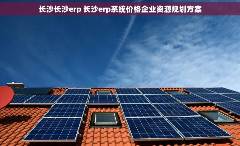 长沙长沙erp 长沙erp系统价格企业资源规划方案 长沙长沙erp 长沙erp系统价格企业资源规划方案