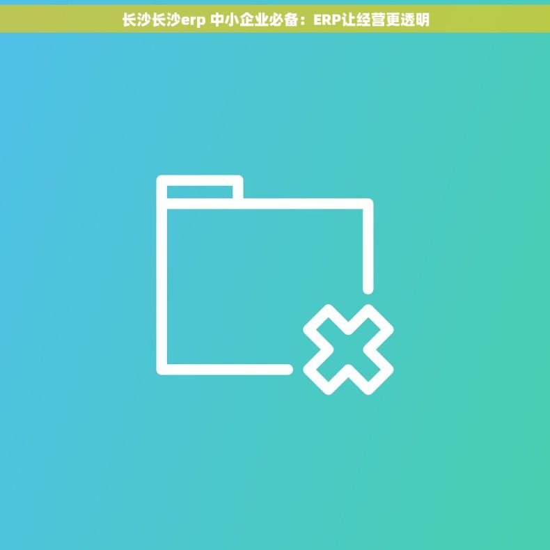 长沙长沙erp 中小企业必备:ERP让经营更透明 长沙长沙erp 中小企业必备:ERP让经营更透明